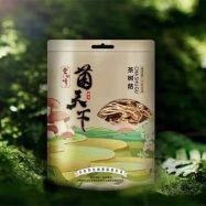 茶樹菇